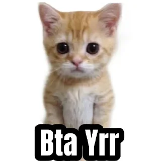 🐱 emoji Poke Droid Telegram sticker 13 of 22