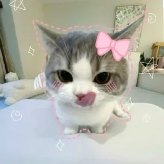 Sticker from Cute