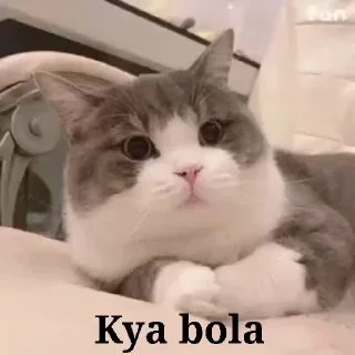 🤨 emoji अहम् ब्रह्म अस्मिs video kang pack 5 Telegram sticker 4 of 31