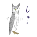 Sticker from Owl