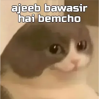 🥲 emoji @bebetomkrishna — @stckrRobot Telegram sticker 20 of 107