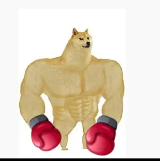 💪 emoji Person not founds kang pack Telegram sticker 8 of 68