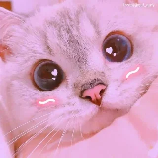 👀 emoji Meowwwww 😺😺 @r_squared_rishabh Telegram sticker 11 of 14