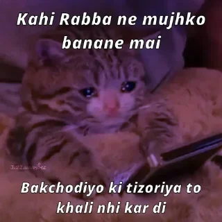 😂 emoji Meowwwww 😺😺 @r_squared_rishabh Telegram sticker 12 of 14