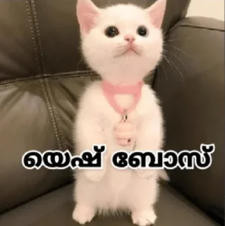 🙋‍♂ emoji @poocha_serr — @stckrRobot Telegram sticker 13 of 120