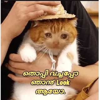 🥺 emoji @poocha_serr — @stckrRobot Telegram sticker 8 of 120
