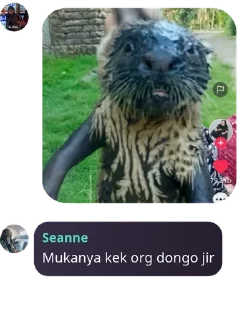 👧 emoji manusia kalem pack by @QuotLyBot Telegram sticker 24 of 71