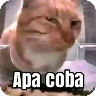 👍 emoji COCOK LOGI 1.0 Telegram sticker 7 of 44
