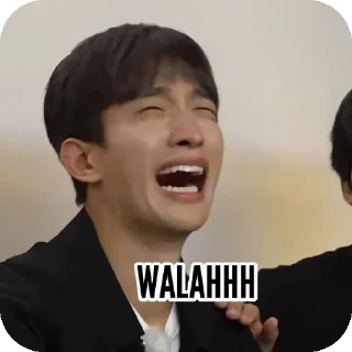 🙂 emoji punya rasya Telegram sticker 13 of 45