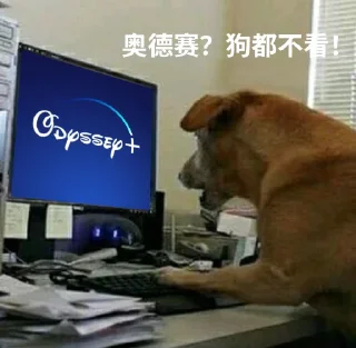 Sticker from 公益服？狗都不看！