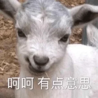 🐷 emoji 欧洲杯官方 九游总监 @Zongjian Telegram sticker 7 of 120