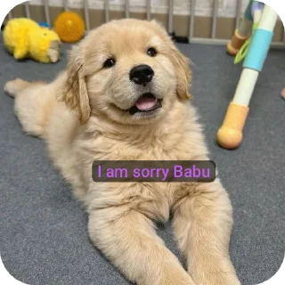 🐶 emoji 𝙈𝙊𝙊𝙉🎼's sticker pack (@Mikasa_Ackr_bot) Telegram sticker 5 of 86
