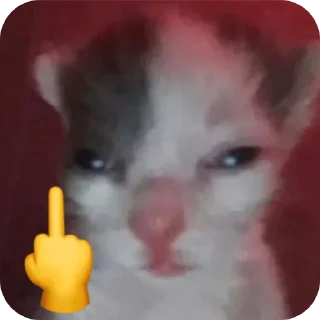 Sticker from Pussy*