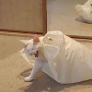 😤 emoji pussy domination Telegram sticker 14 of 38