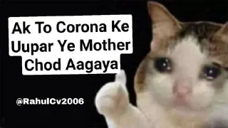 😐 emoji @RahulCv2006 Cat Pack Telegram sticker 23 of 51