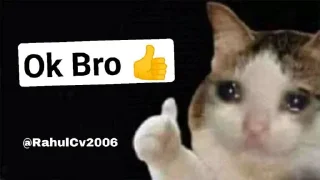 👍 emoji @RahulCv2006 Cat Pack Telegram sticker 16 of 51