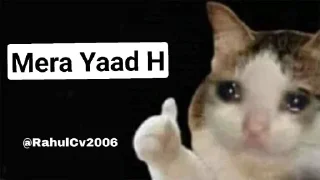 😕 emoji @RahulCv2006 Cat Pack Telegram sticker 4 of 51