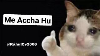 👍 emoji @RahulCv2006 Cat Pack Telegram sticker 3 of 51