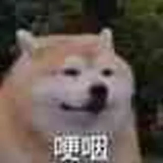 🤧 emoji 狗爷社区明灯专用贴图 Telegram sticker 10 of 34