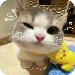 🐱 emoji HEHE !!🩷's stickers pack Telegram sticker 16 of 27