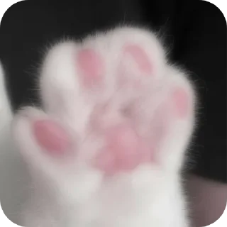 🐱 emoji HEHE !!🩷's stickers pack Telegram sticker 17 of 27