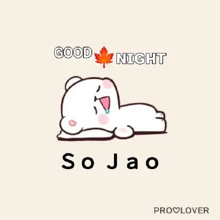 Sticker from Pro Lover