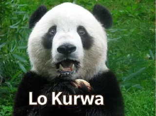 Sticker from Panda