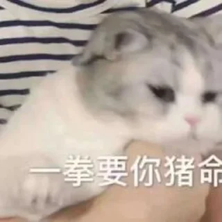 🙊 emoji 狗爷社区明灯专用贴图 Telegram sticker 5 of 34