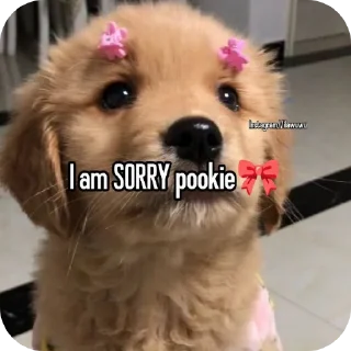 🐶 emoji Mineee🌷🎀 Telegram sticker 24 of 120