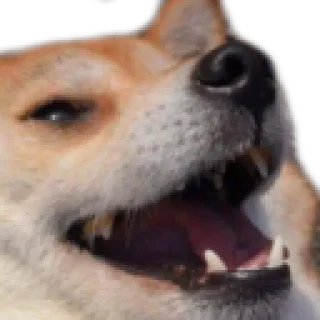 🤣 emoji DC emojis Telegram sticker 12 of 59