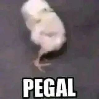 Sticker from Meme