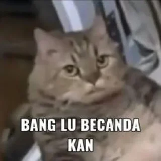 Sticker from Meme