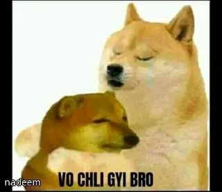 😿 emoji Cheems dogi Telegram sticker 6 of 103