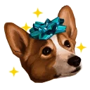 ✨ emoji corgi Telegram sticker 14 of 28