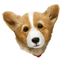 😢 emoji corgi Telegram sticker 13 of 28