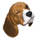😝 emoji corgi Telegram sticker 21 of 28