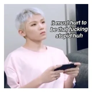 😄 emoji Svt memes Telegram sticker 23 of 52