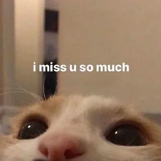 🥺 emoji syaamanaa Telegram sticker 8 of 120