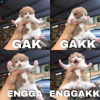 😠 emoji syaamanaa Telegram sticker 13 of 120