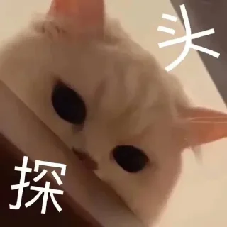 💫 emoji 自用表情包 @emo315 Telegram sticker 7 of 80