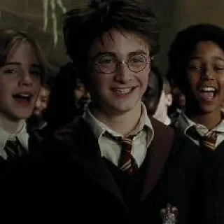 🪄 emoji ˑ ִ ֗ ¡ harry potter ᵎ ˖࣪ @sweetymills ₊˚･ Telegram sticker 14 of 40