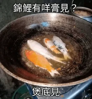 Sticker from 錦鯉