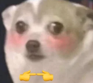 🥹 emoji Cute cry dog and cat @kecilvv Telegram sticker 12 of 64