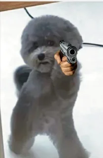 Sticker from Cute dog