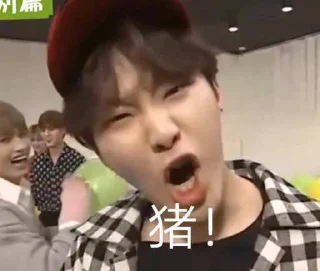 🐷 emoji svt weibo memes Telegram sticker 5 of 120