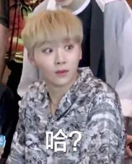 ❔ emoji svt weibo memes Telegram sticker 16 of 120