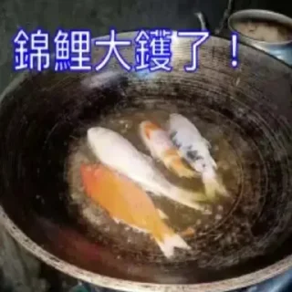 Sticker from 錦鯉大晒