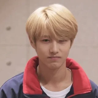 Sticker from Renjun baby