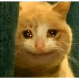 🥺 emoji @poocha_serr — @stckrRobot Telegram sticker 10 of 120