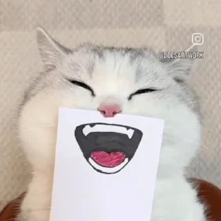 Sticker from ✨Cats 😺
